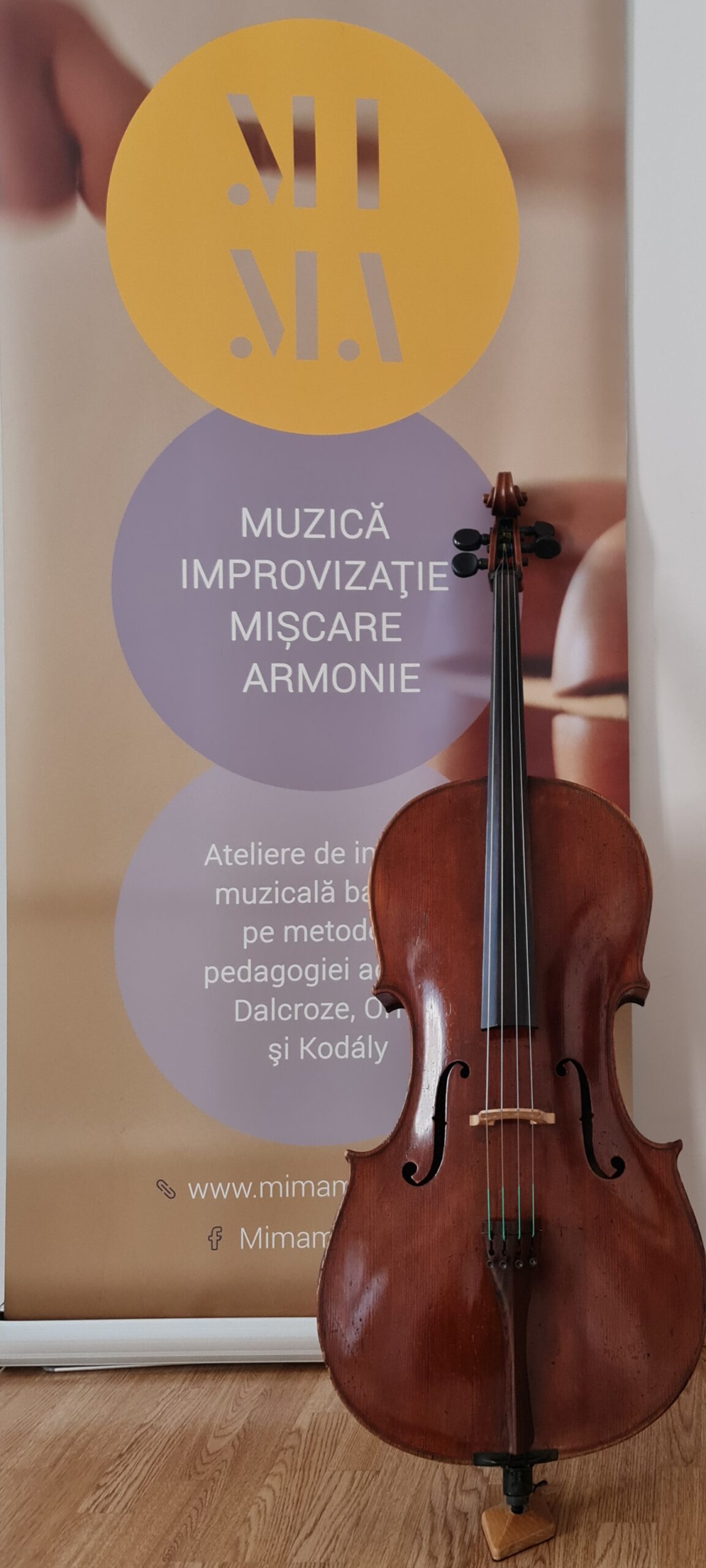 MIMA Brasov curs de violoncel